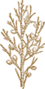 cypress